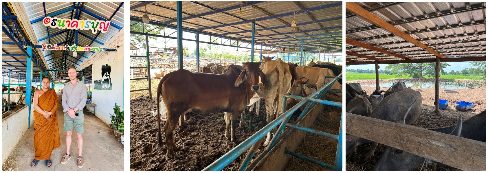 Flood damage to the cattle shelter infrastructure