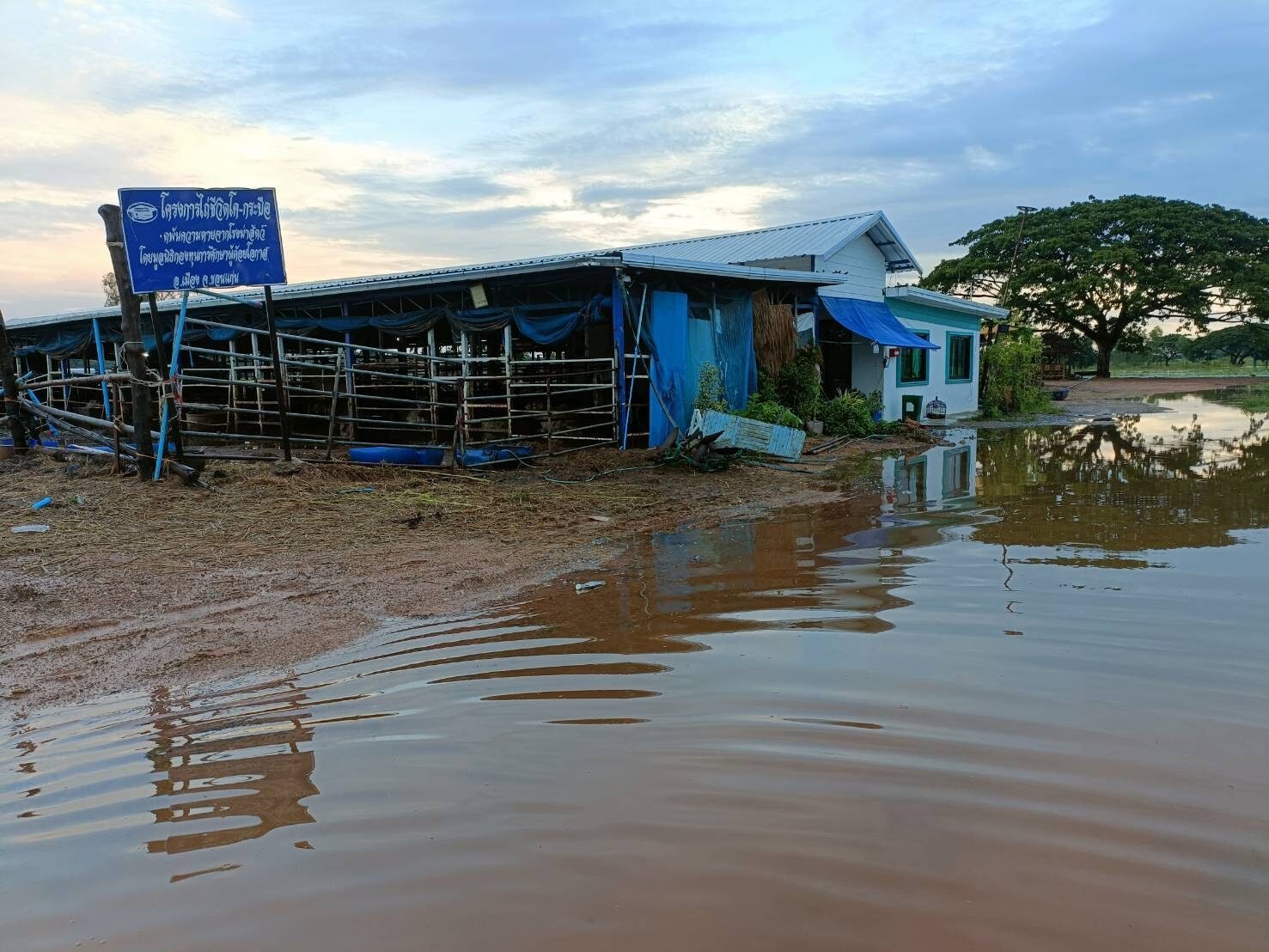 The sanctuary surrounded by floodwater, 2025