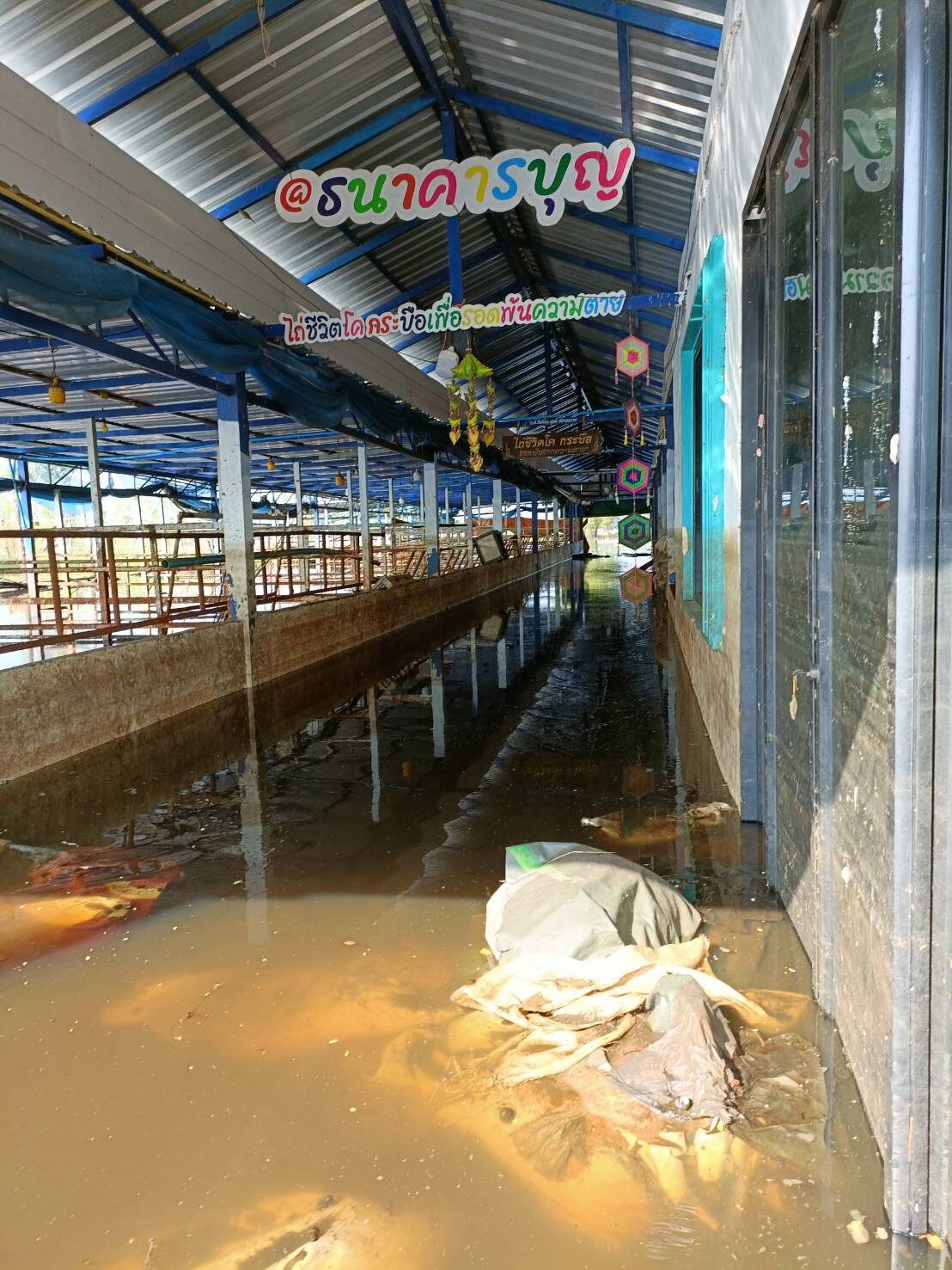 Flood damage at the sanctuary, 2025