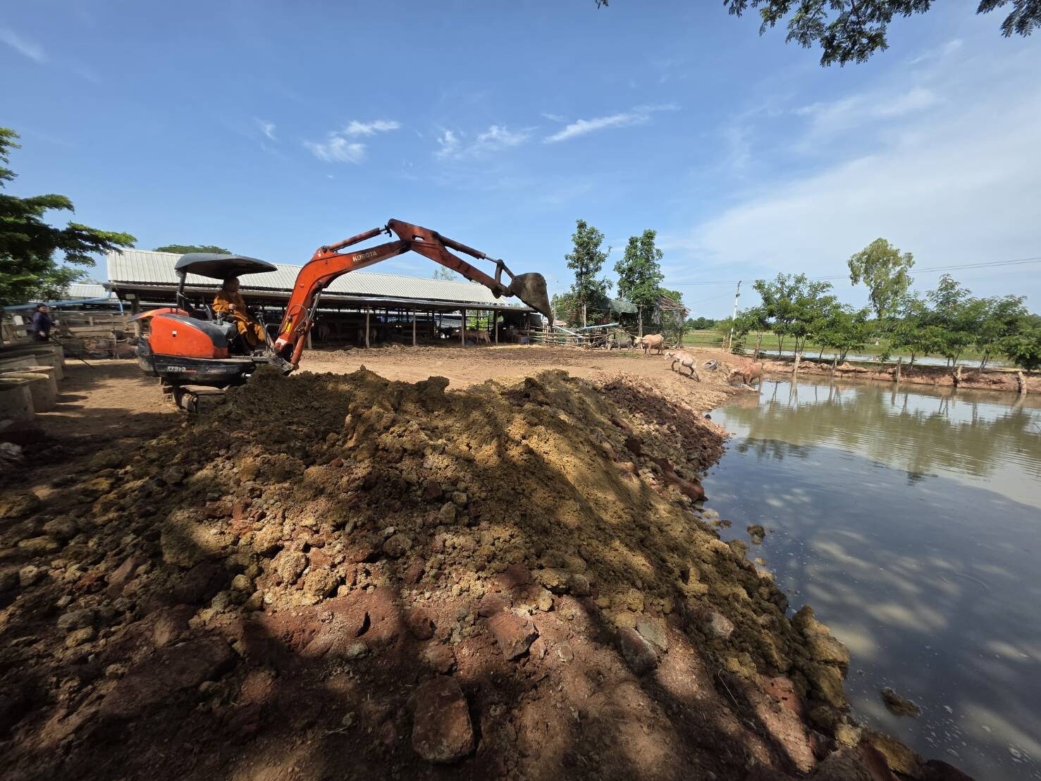 Raising the ground above the flood line with an excavator